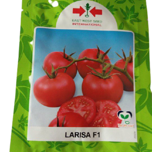 East West Larisa F1 Tomato Seeds – 5g