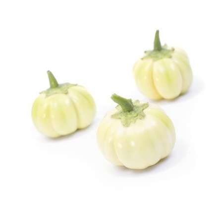 African Eggplant Keiro RZ F1 (100 Seeds) - Image 2