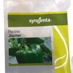 Syngenta Jupiter F1 Sweet Pepper