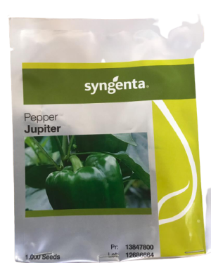 Syngenta Jupiter F1 Sweet Pepper