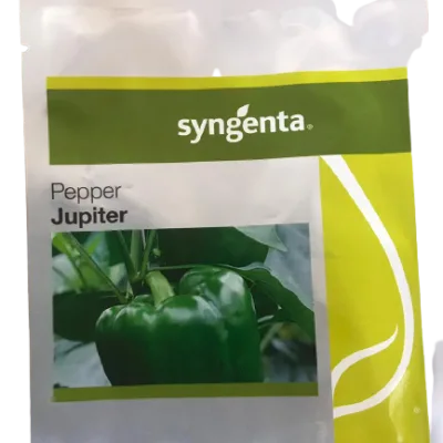 Syngenta Jupiter F1 Sweet Pepper