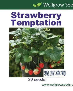 Wellgrow Strawberry Temptation