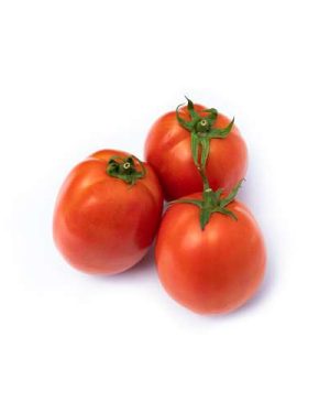 Abale RZ F1 tomato