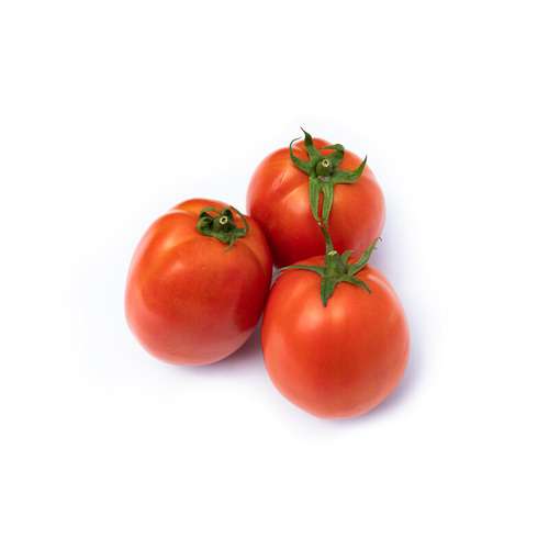 Abale RZ F1 tomato | 100 seeds