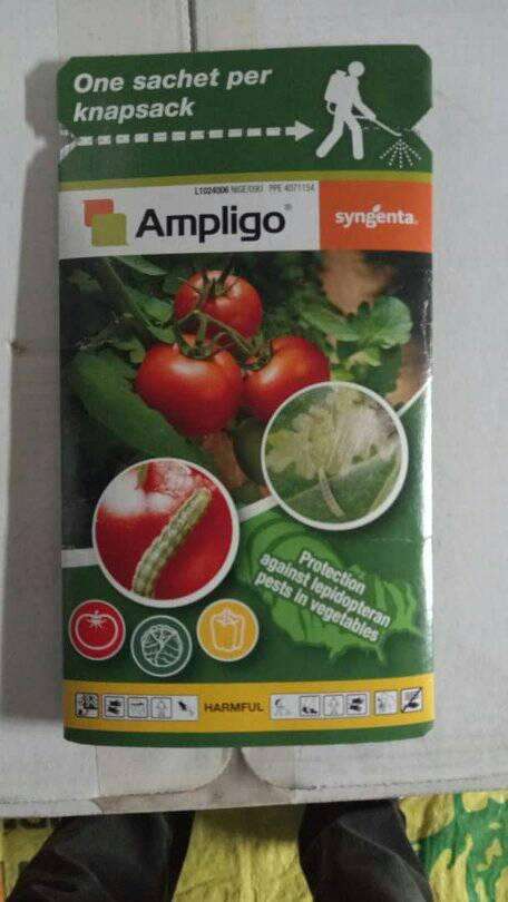 Ampligo (Insecticide) Syngenta Brand - Image 2