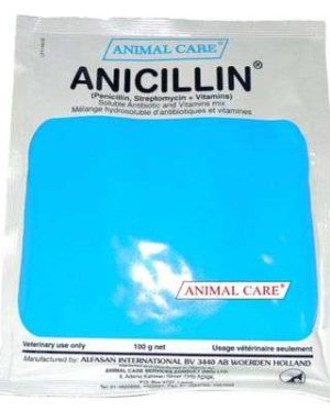 Anicillin