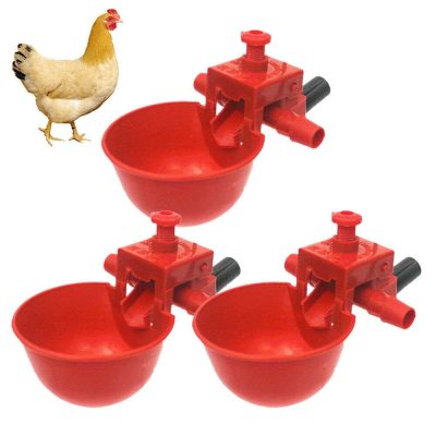 Auto Cup Drinker (Pack of 50)