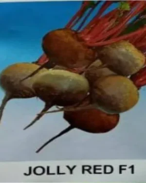 East West Jolly Red Beetroot