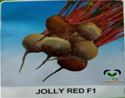 East West Jolly Red Beetroot