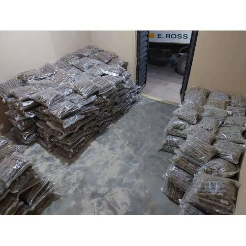 Baba 70 Cassava Stem Variety | 50 pieces in a pack