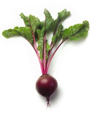 Beetroot Red Zeppo RZ F1 [25000 Seeds]