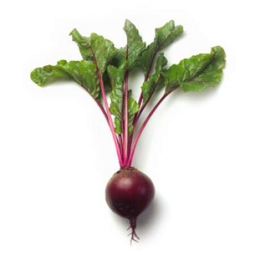 Beetroot Red Zeppo RZ F1 [25000 Seeds]