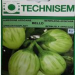 Bello African Egg Plant Technisem