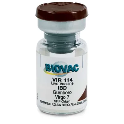 Gumboro Vaccine | 100D