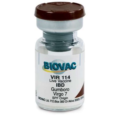 Gumboro Vaccine | 100D