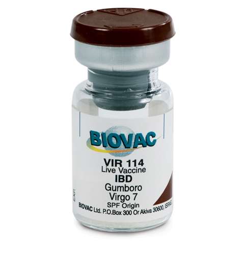 Biovac Gumboro Vaccine | 1000D