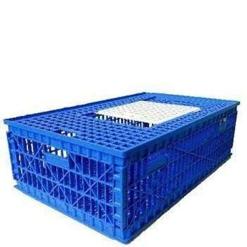 Blue Chicken Transport Crate