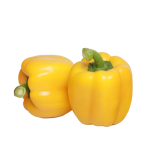 Reggaeton RZ F1 - Yellow Bell Pepper Seed