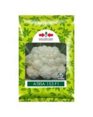 Atria Cauliflower Seed