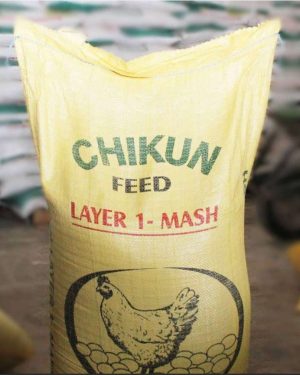 Chikun Layer 1 Mash | 25kg (MOQ: 50 bags) from HTS Farms