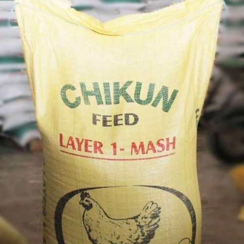 Chikun Layer 1 Mash | 25kg