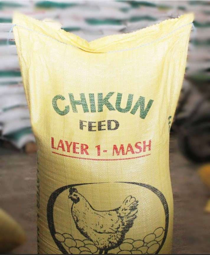 Chikun Layer 1 Mash | 25kg (MOQ: 50 bags) from HTS Farms