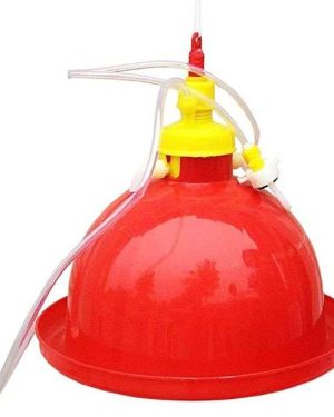 Chinese Bell Drinkers