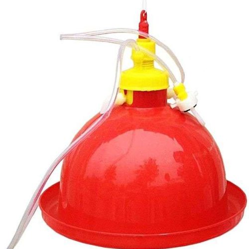 Chinese Bell Drinkers