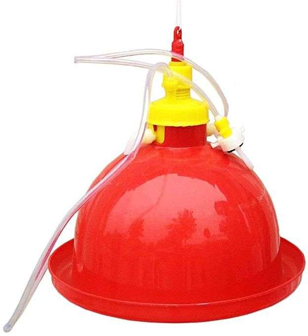 Chinese Bell Drinkers