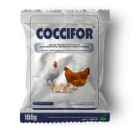 Coccifor