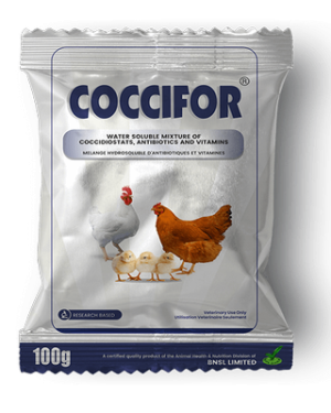 Coccifor