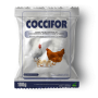 Coccifor