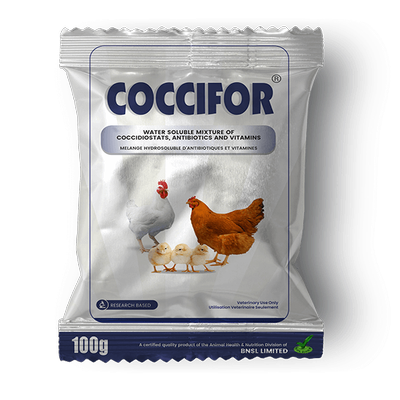 Coccifor
