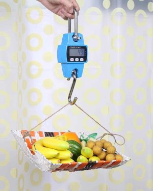 Mini Crane Digital Hanging Scale (300kg)
