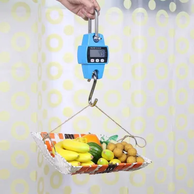 Mini Crane Digital Hanging Scale (300kg)