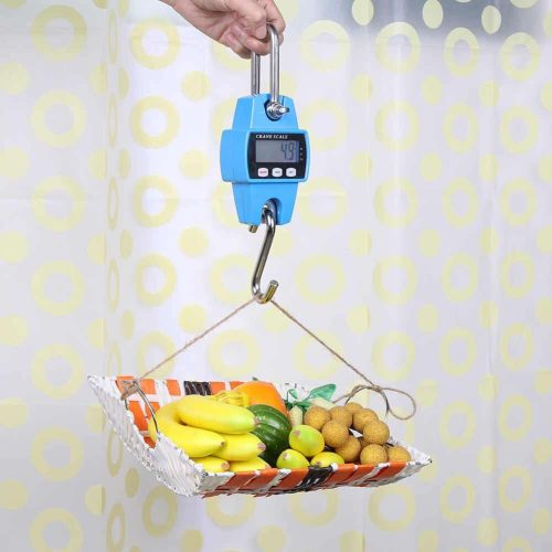 Mini Crane Digital Hanging Scale (300kg)