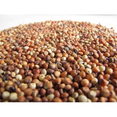 CSR-01 Sorghum Seed | 1kg