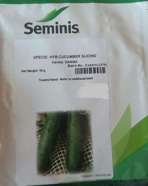 Seminis Cucumber Darina F1 Seed