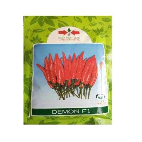 East West Demon chili Pepper 500 Seeds
