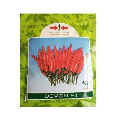 East West Demon Pepper Seed