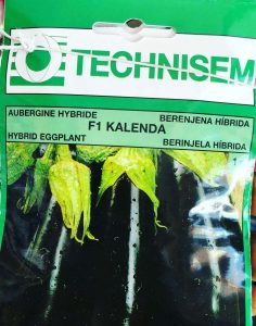 Kalenda f1 Eggplant Seeds (Technisem | 1g)
