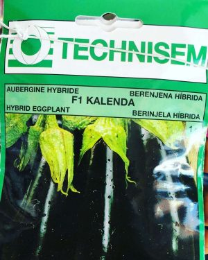 Kalenda f1 Eggplant Seeds (Technisem | 1g)