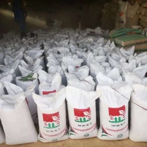 EME NPK 20-10-10 Fertilizer | 50kg