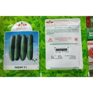 East West DAEWY F1 Cucumber