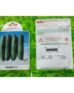 East West DAEWY F1 Cucumber