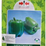 East West Mekong F1 Hybrid Green Bell Pepper Seed | 500 Seeds
