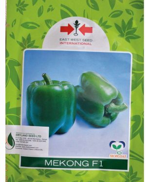 East West Mekong F1 Hybrid Green Bell Pepper Seed | 500 Seeds
