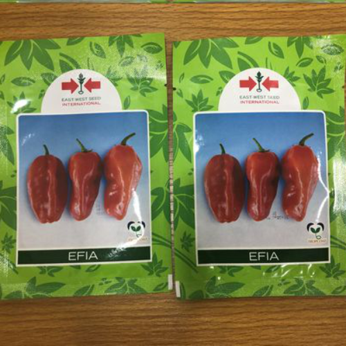 East West Efia F1 Hot Pepper Seeds (5g)