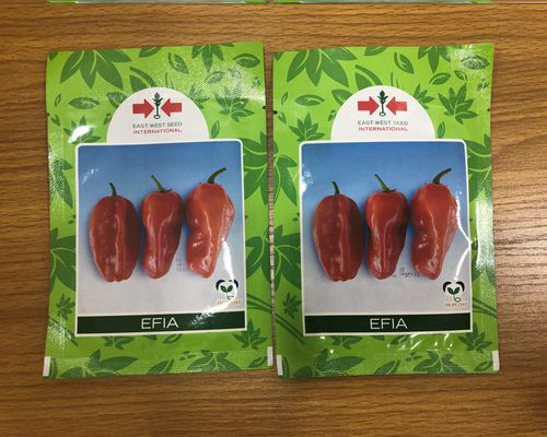 East West Efia F1 Hot Pepper Seeds