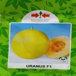 Uranus F1 Sweet Melon Seed